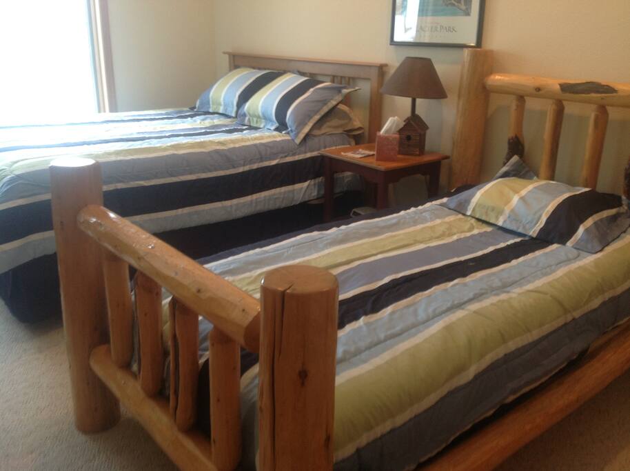 Bedroom with queen and twin on lower level