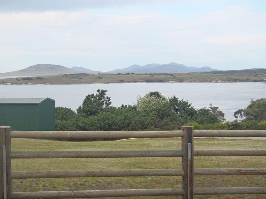 Looking over the Sounds to Cape Barren