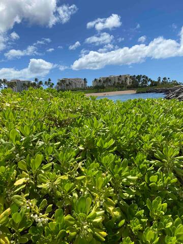 Hawaii 2 bedroom 2 bath villa with private beach gallery image 4