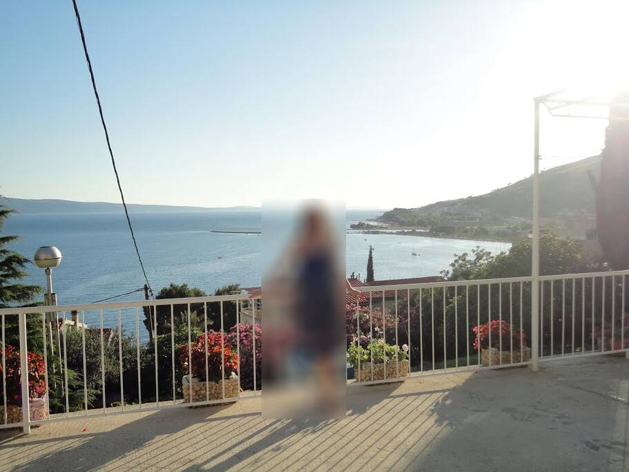 View from the terrace
