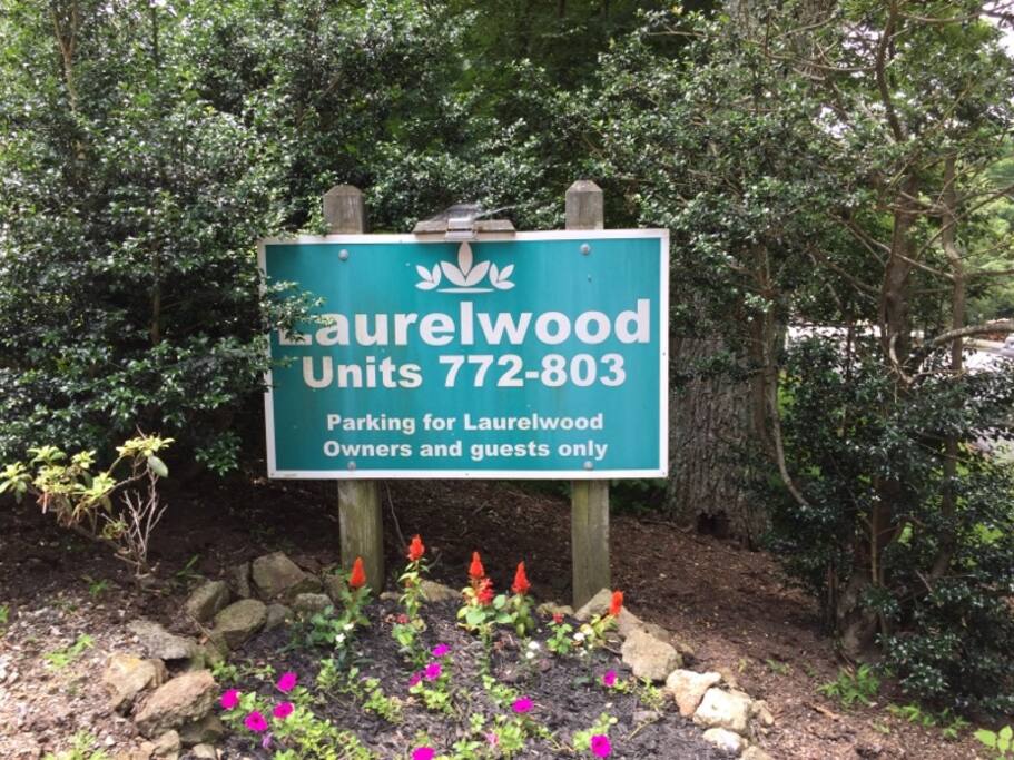Welcome to Laurelwood!