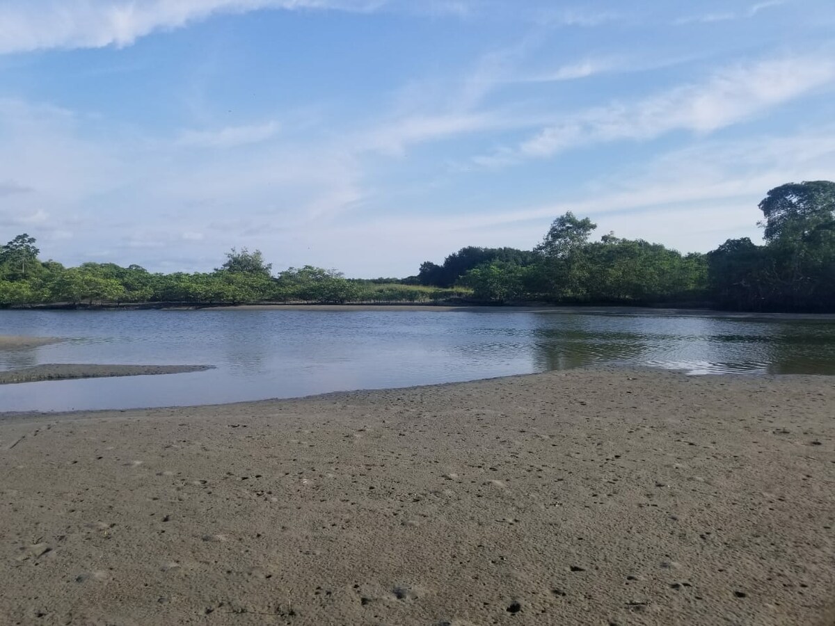 A calm body of water is framed by lush greenery along the banks. The sandy shore stretches along the foreground, reflecting the clear blue sky above. Gentle ripples are visible on the water's surface, enhancing the tranquil setting.