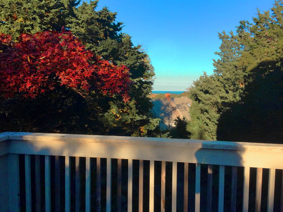 View from upper deck off of 4th bedroom area