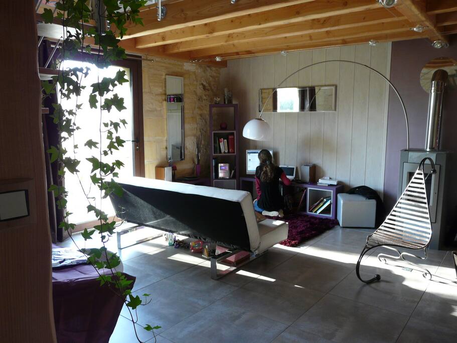 Salon privatif avec livres, jeux, wifi, poelle