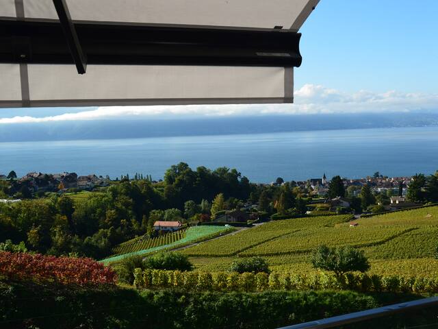 Villa de standing Le Haut des Vignes Lutry/Lavaux gallery image 3