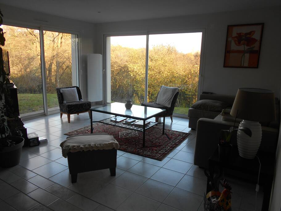 Salon vue sur le jardin