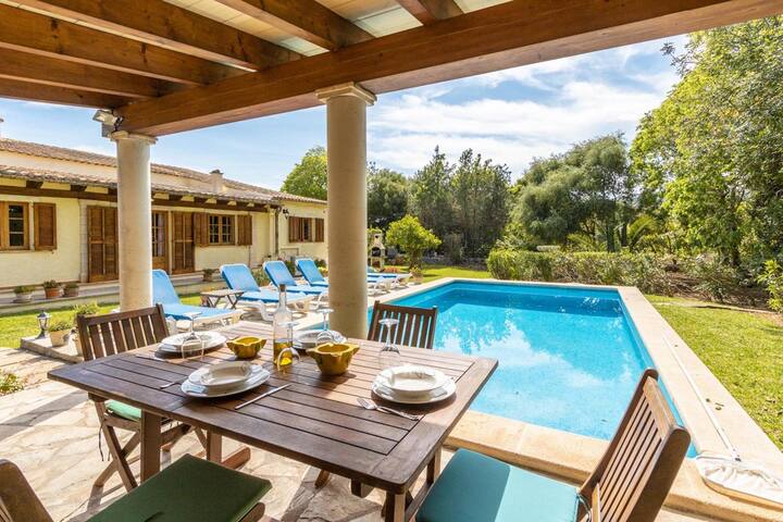 Alegre gallery image 3