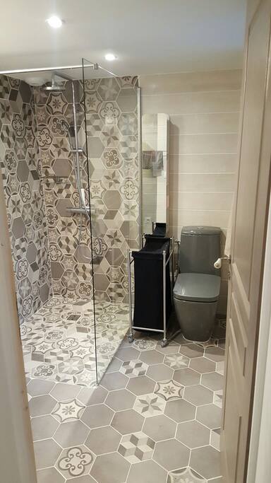 Salle d eau a l italienne + toilette