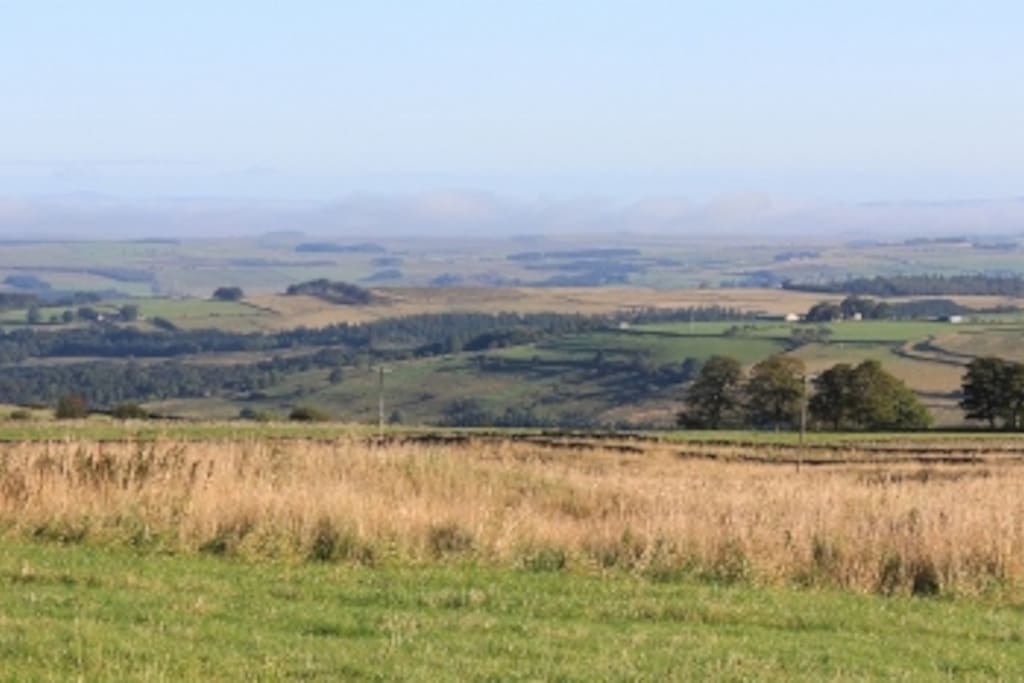 View from the b & b