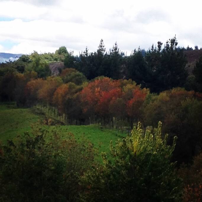 Otoño