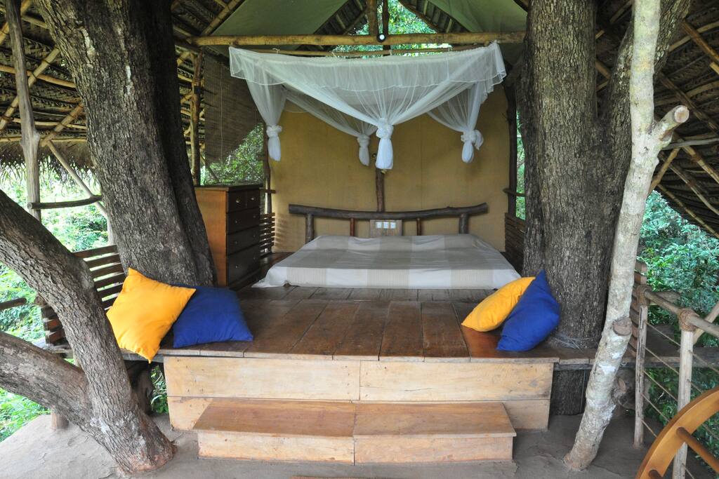 Bed