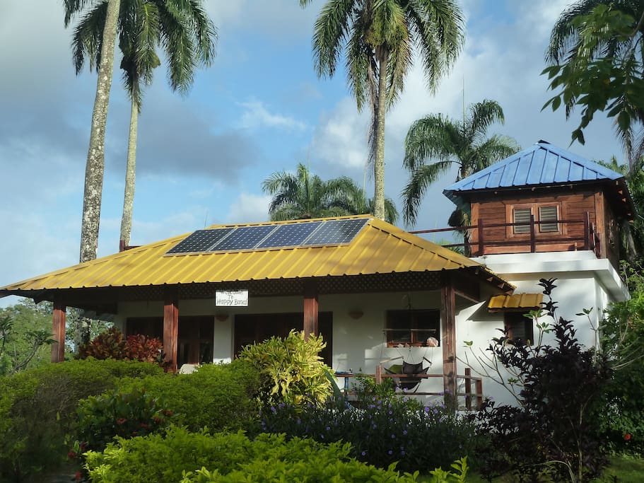 Our hideaway surrounded by some 50 royal palmtrees