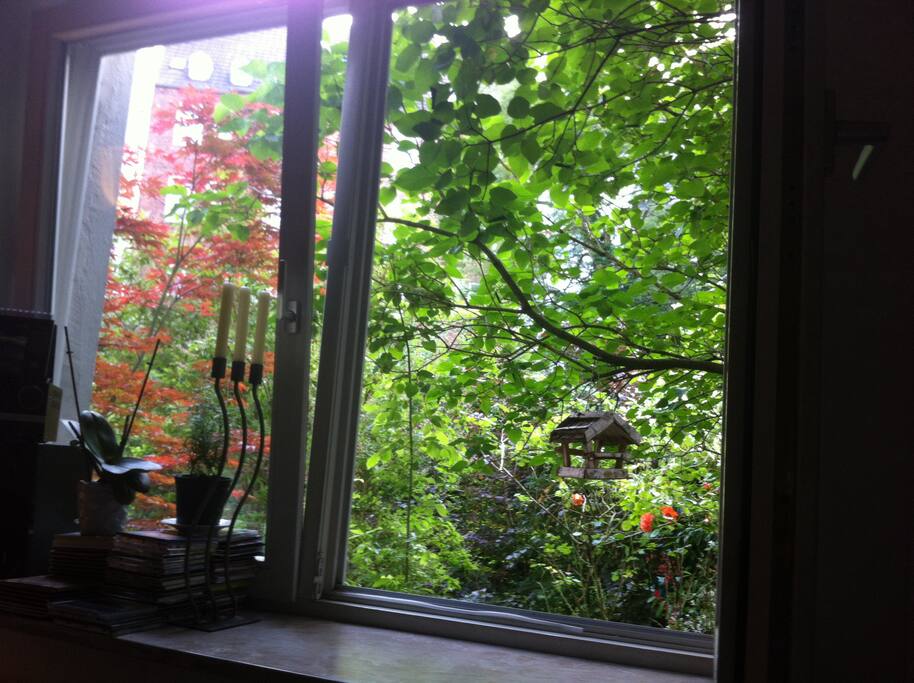 Blick aus dem Fenster