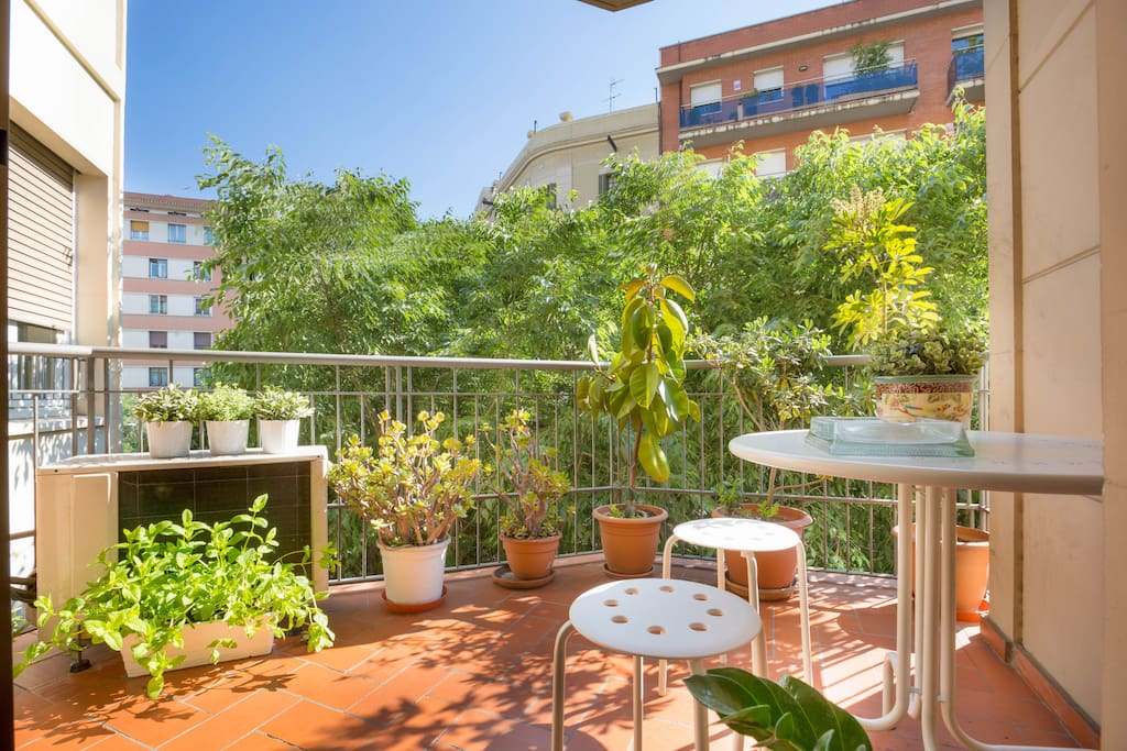 sunny terrace