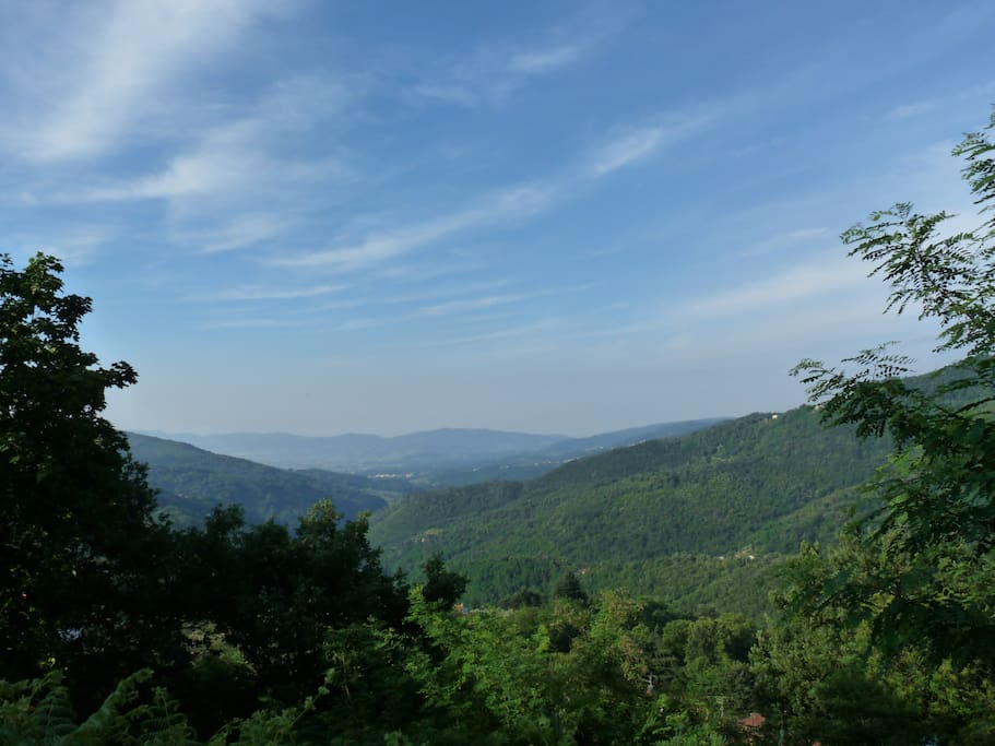 The view