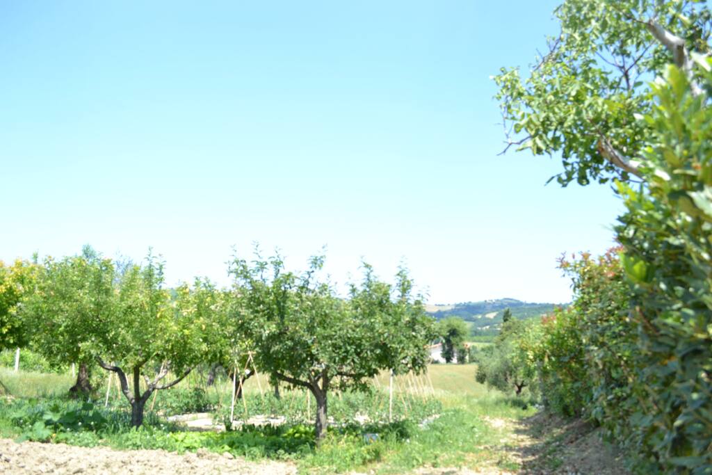 L'orto