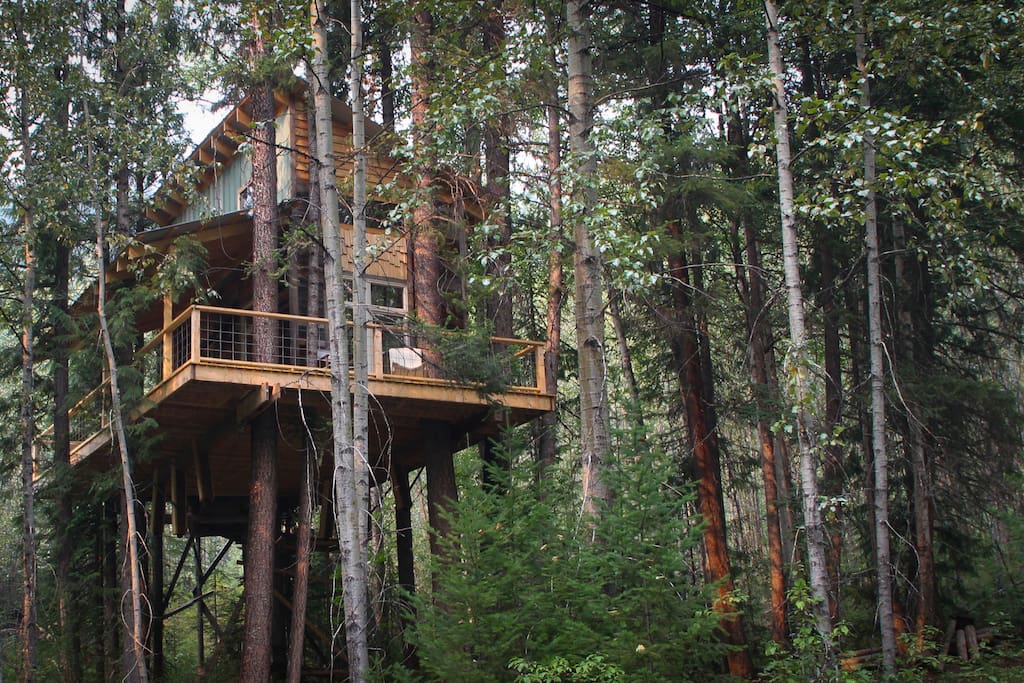 Creekside tree house nestled in an interior forest Treehouses for