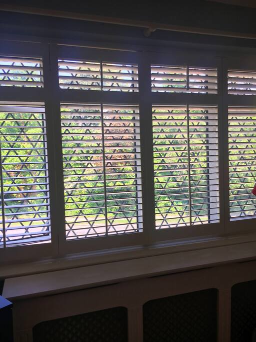 View of the trees at Morden Park from bedroom window.