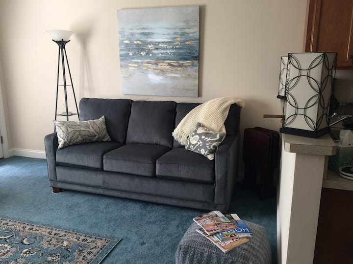 ห้องนั่งเล่นพร้อมเตียงโซฟาเบดขนาดควีนไซส์แบบกางออกเคเบิลทีวีจอแบนขนาด 42 "และพัดลมเพดานโคมไฟพร้อมยูเอสบี