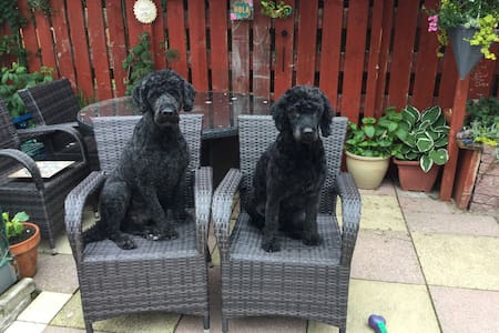 A warm welcome awaits you