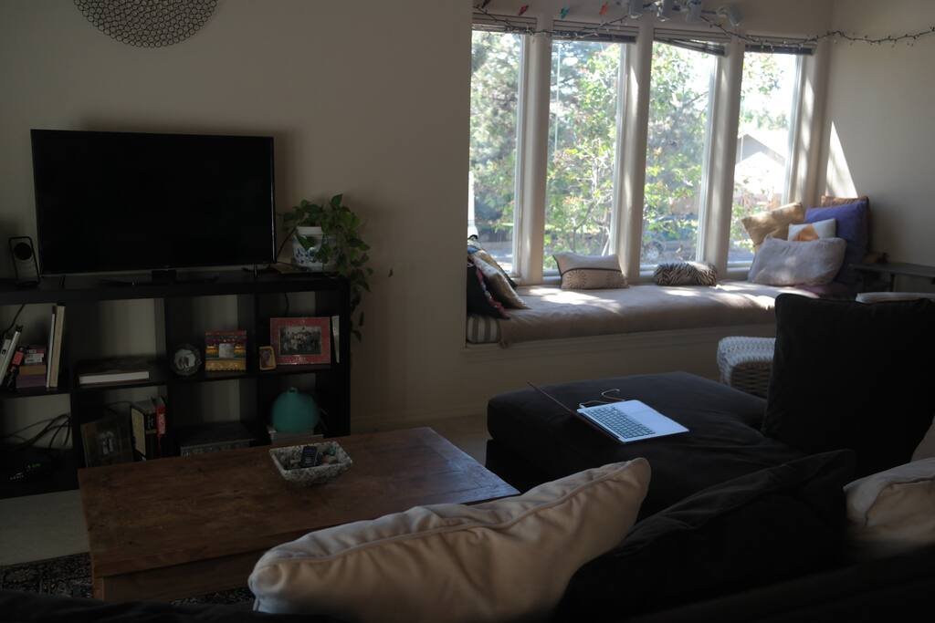 Comfy sectional for watching Netflix or streaming your own device