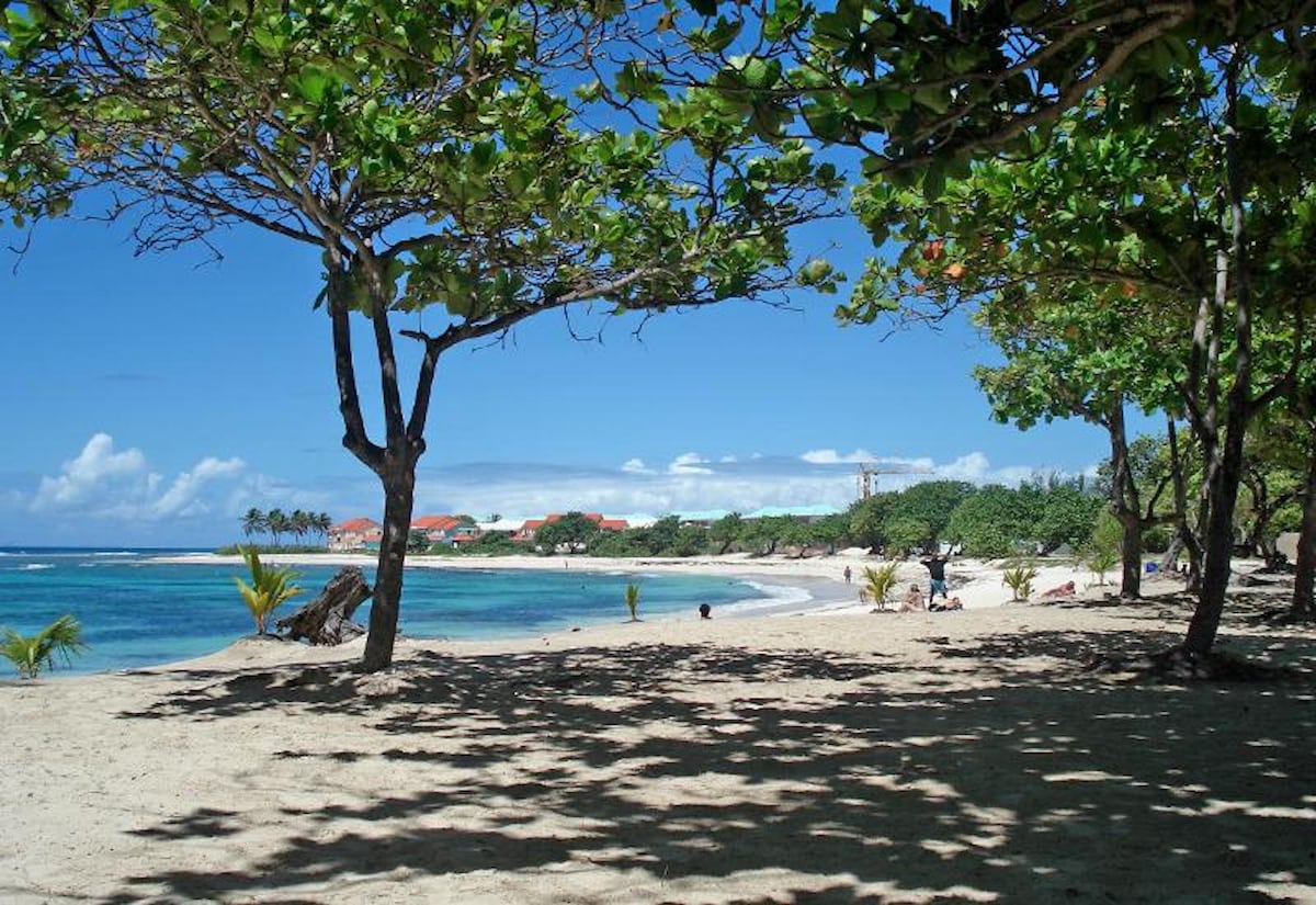 A sandy beach scene is framed by lush, green trees providing shade. Gentle waves lap at the shore, while the water transitions from turquoise to a deeper blue. In the background, a few structures and palm trees are visible against a clear sky.