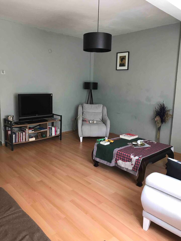 Centre Of Ortakoy New Apartment A Garden Home Apartments For Rent In Besiktas Istanbul Turkey
