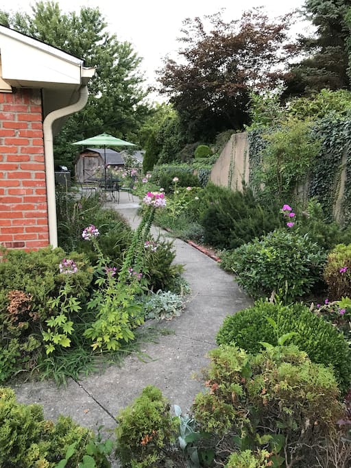 Garden Path to Patio