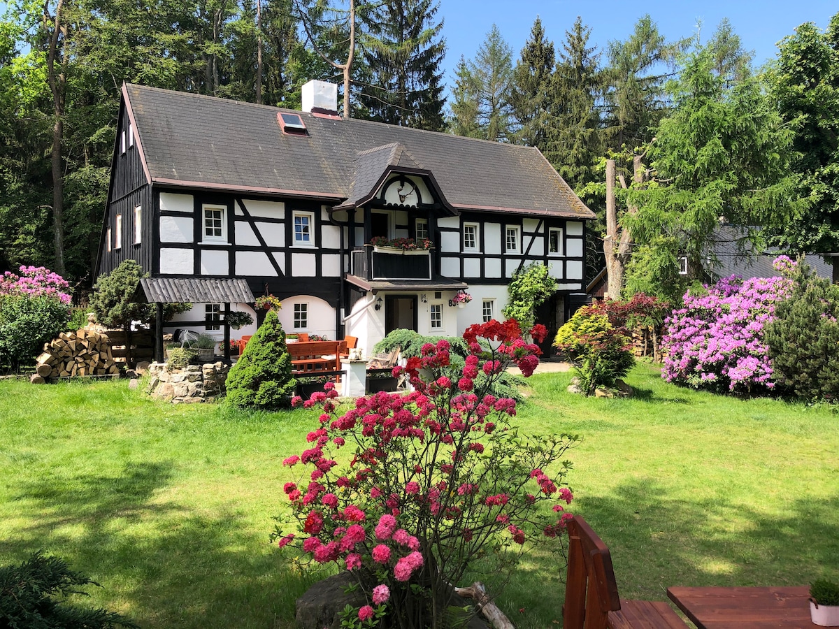 Děčínský Sněžník Vacation Rentals & Homes - Jílové, Czechia | Airbnb