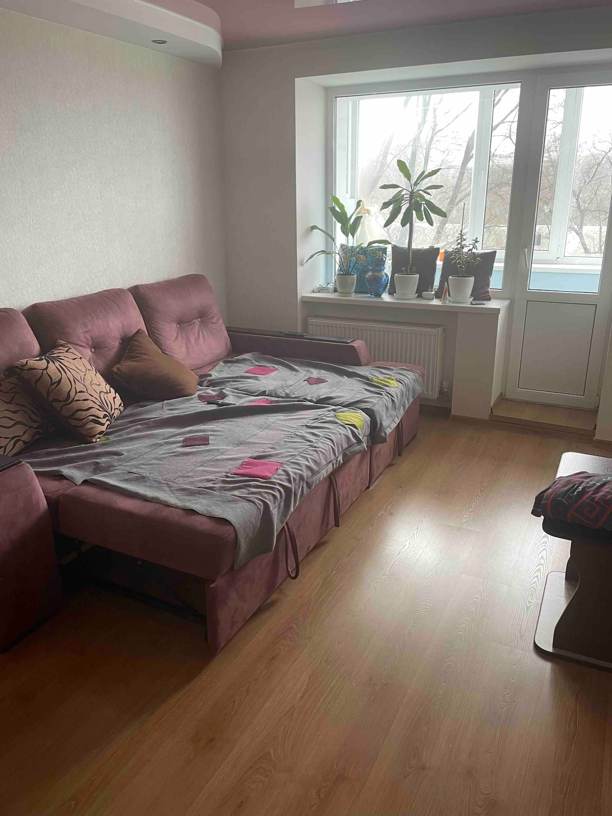 A comfortable seating area is featured with a plush sofa adorned with decorative pillows. Natural light enters through a large window, highlighting indoor plants positioned on the windowsill. A warm wooden floor complements the neutral-toned walls and provides a cozy atmosphere.