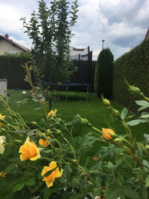 Garten mit Trampolin