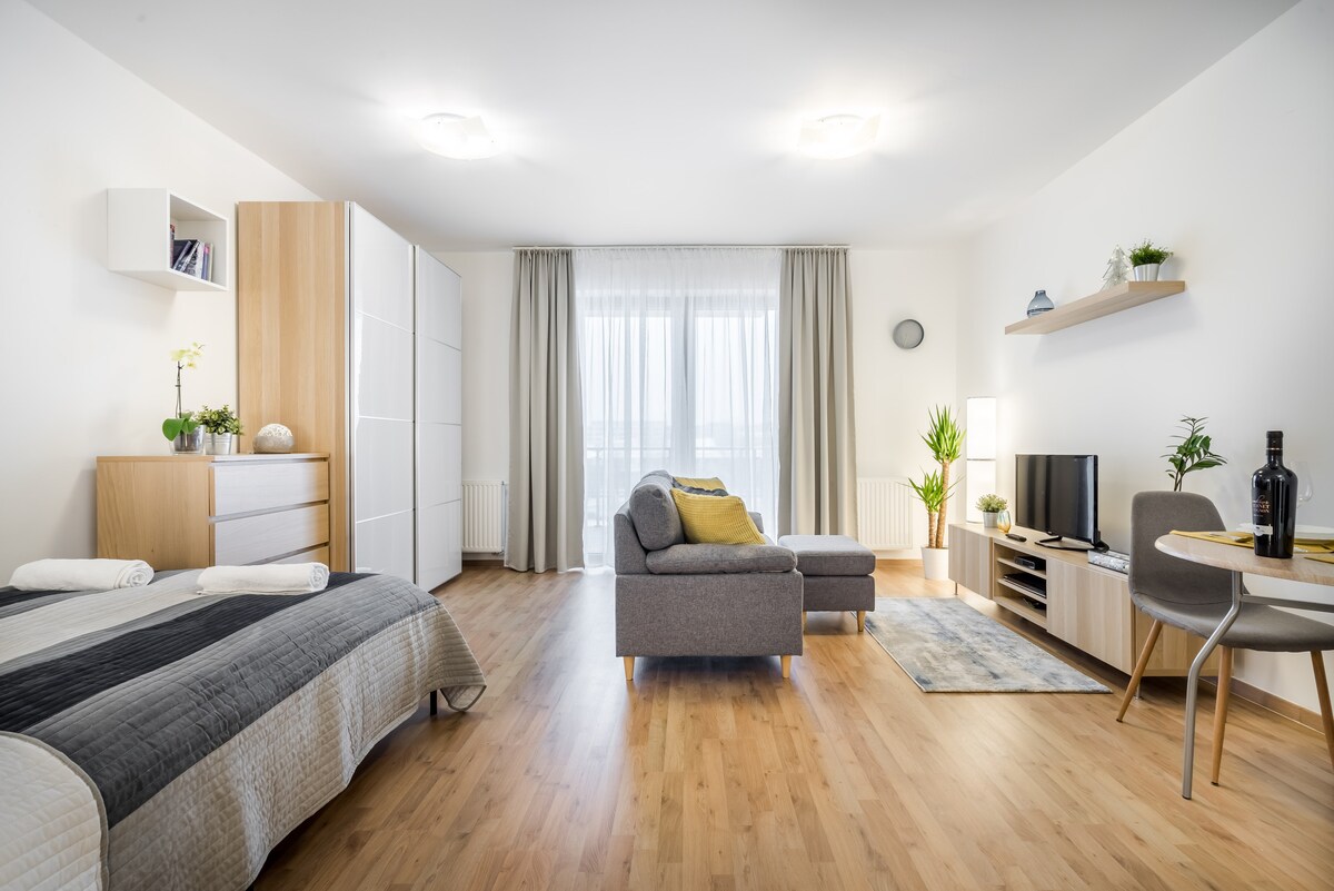 A modern studio apartment features a spacious area with a double bed and a comfortable sofa. Natural light enters through large windows, which are draped with light curtains. A dining set and a TV unit are present, with decorative plants providing a touch of nature.