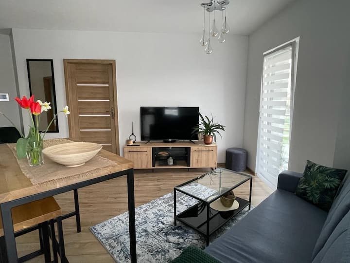 Stylish TwoBedroom Apartment in the City Center Condominiums for