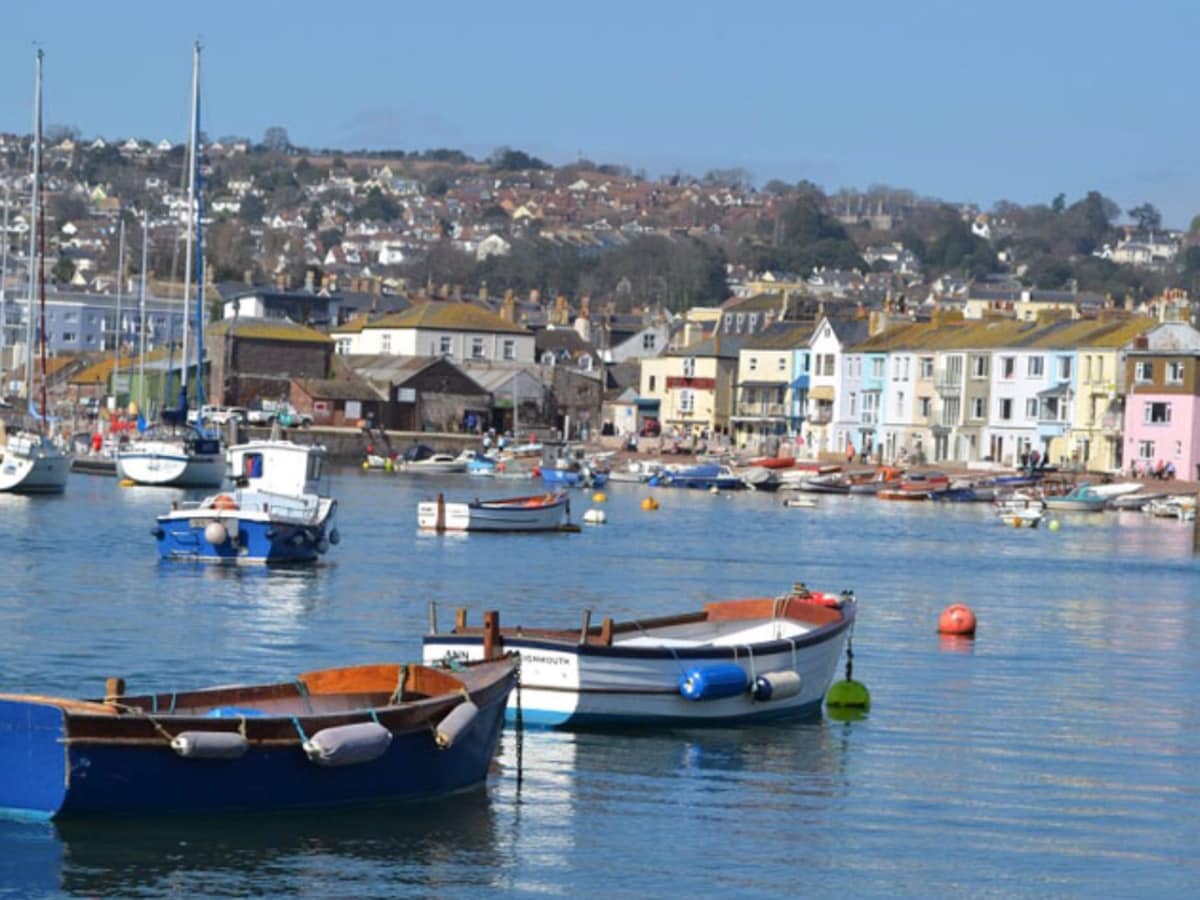 A serene harbor scene showcases a variety of boats floating gently on calm waters. Colorful buildings line the waterfront, reflecting a mixture of architectural styles. Hills in the distance display greenery, completing the tranquil coastal view.