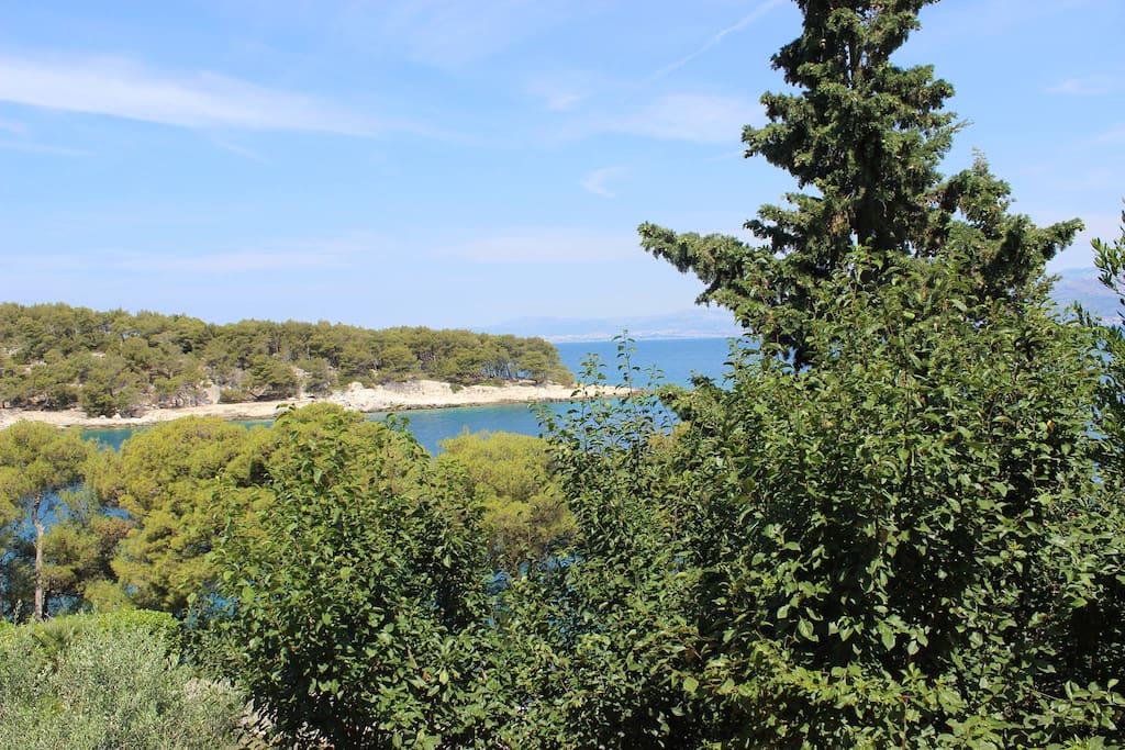 View from the terrace