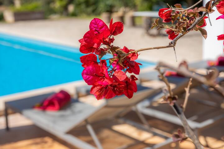 Sa Plana gallery image 5