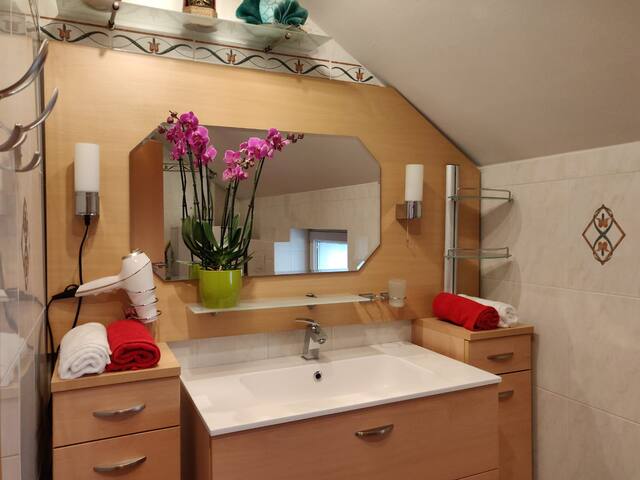 Modern holiday home in Vienna gallery image 4