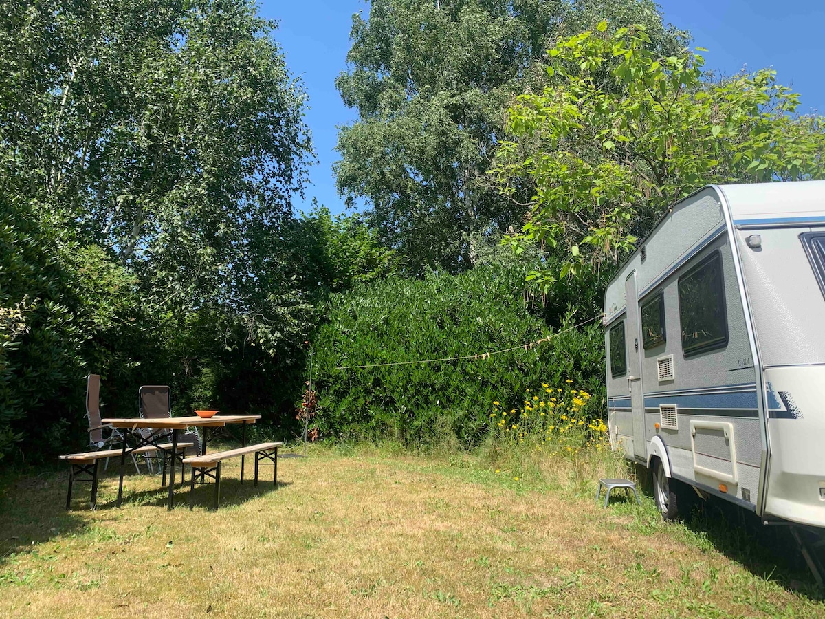 A spacious outdoor area is presented, featuring a caravan parked beside a grassy patch. A table and two chairs are arranged under the shade of trees, with lush greenery and wildflowers surrounding the garden, creating an inviting space for relaxation.