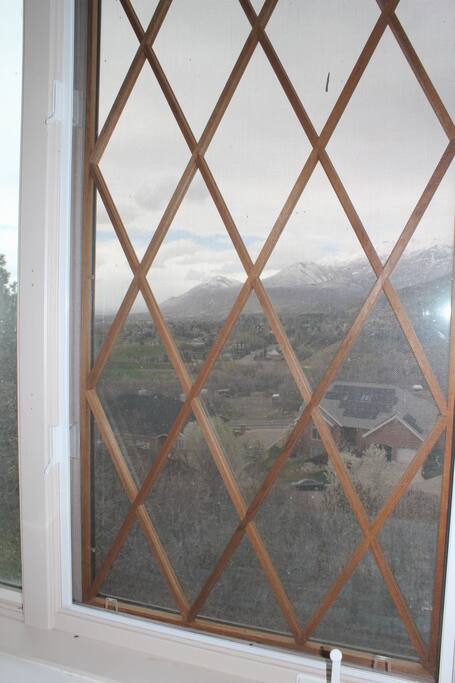 View from Kitchen