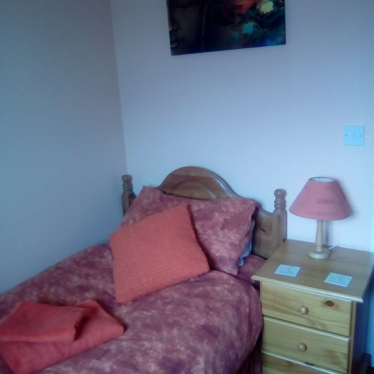 Comfortable room with single bed Houses for Rent in Ashburton, United