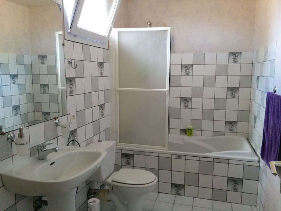 salle de bains et wc