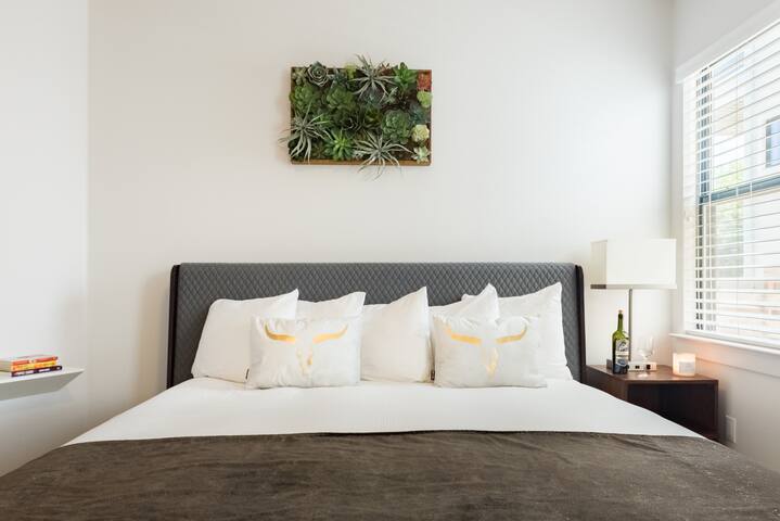 Modern Luxury House in East Downtown gallery image 4