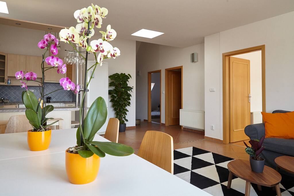 Dining area and living room