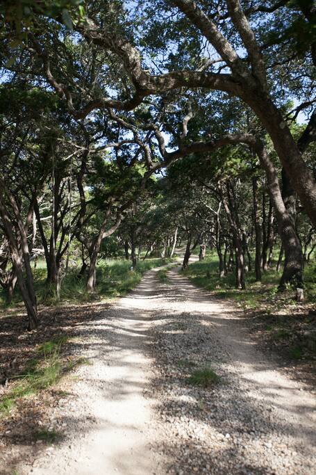 Beautiful road leading to our Pool House and Bungalow.