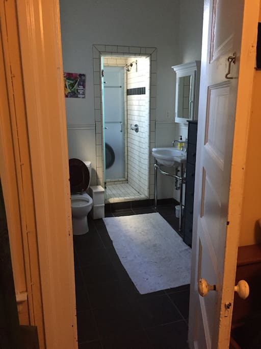 First bathroom with view of large shower