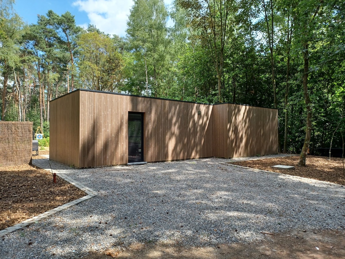A modern wooden house is set amidst a natural landscape, surrounded by trees. The exterior showcases vertical wooden slats, while a large glass door provides access. A gravel pathway leads to the entrance, complementing the serene outdoor environment.