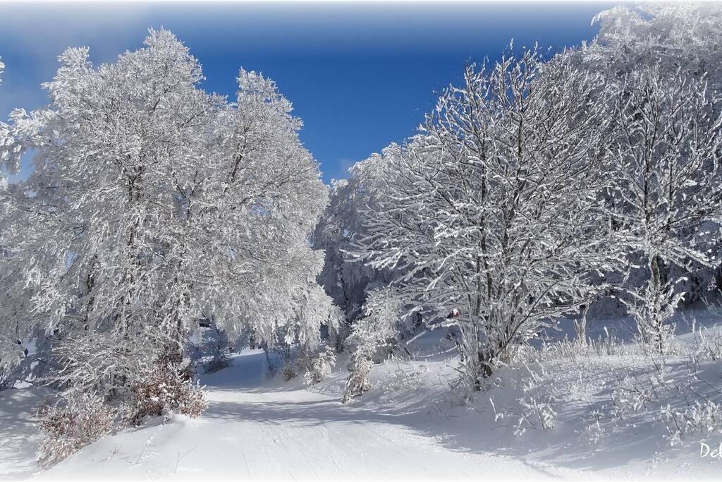 Paysages magnifiques