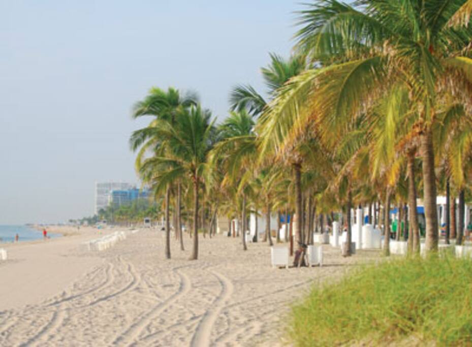 Beach