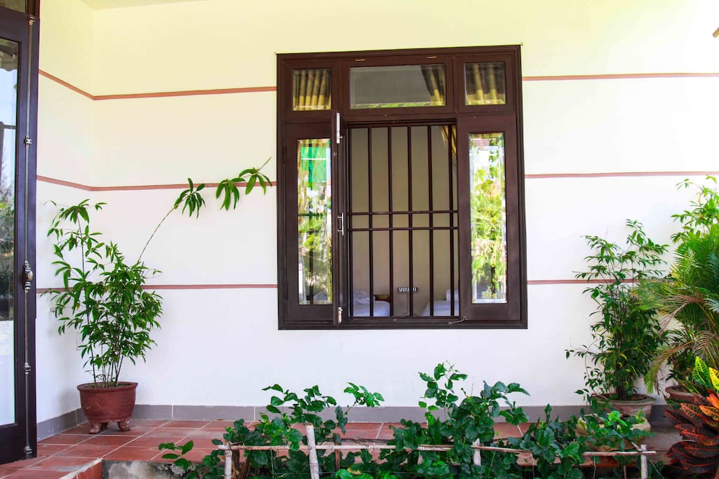 Window