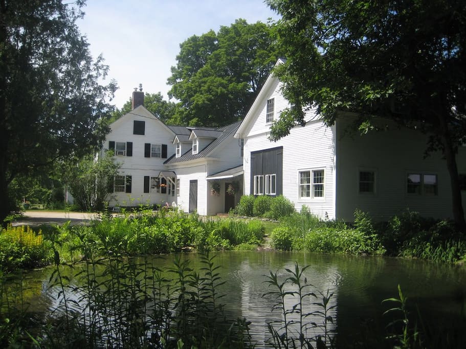 Exterior - Fountain Pond